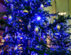 Christmas Wallpapers 184